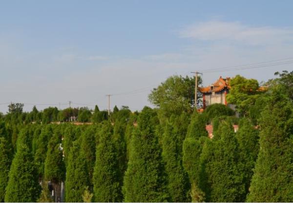 落葬時(shí)，要注意的六大原則